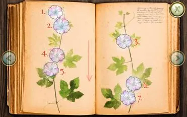 ���ص�����2026���ذ�װv1.0.19 �ٷ������ͼ2