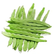 С�˶�2026�ٷ����°汾