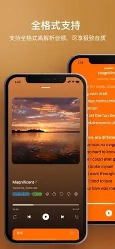 HiFier(音乐播放工具) HiFier(音乐播放工具)