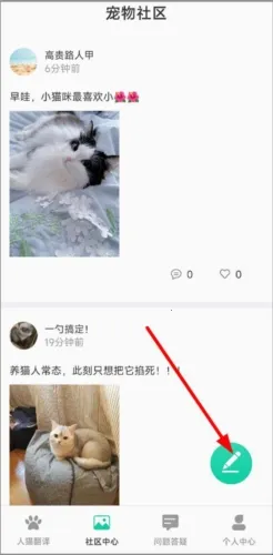 Cat Translation2026���°汾