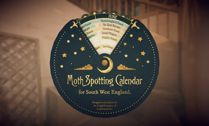 ��̹��ׯ԰2026���ذ�װv1.0.2 ��Ѱ��ͼ1