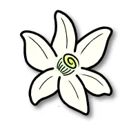 �Ȼ�ģ������׿���ֻ���