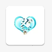 �������2026�ٷ�����