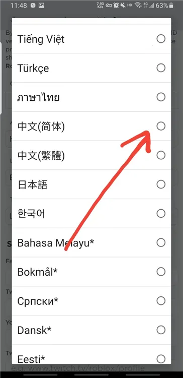 roblox国际服 roblox国际服