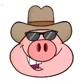 �˽�������2026�ٷ�����