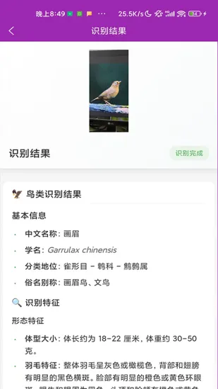 ʶ��(����ʶ�𹤾�)v1.1.0 �ֻ����ͼ0