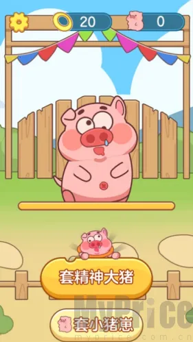 抓了个猪2026官方正版 抓了个猪2026官方正版
