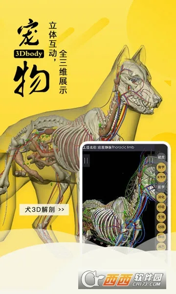 3dbody宠物解剖app 3dbody宠物解剖app