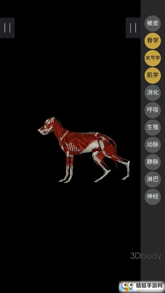 3dbody��������v8.8.72 ��׿���ͼ4