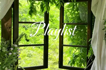 �������ֺ�(������������)