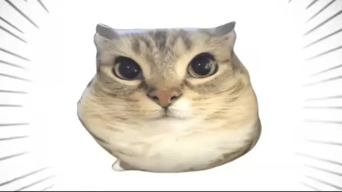 �ͰͲ�һ(δ֪ƽ̨)v1.0 �ֻ����ͼ0