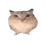 �ͰͲ�һ(δ֪ƽ̨)