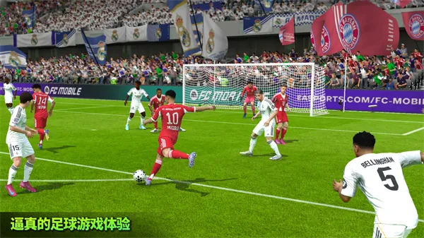 FIFA 22(���򾺼�����)v3.2.113645 �ٷ������ͼ4