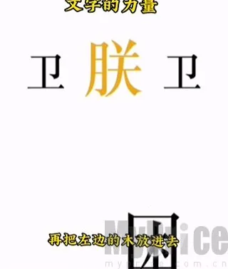 ���ֵ����������ֻ���