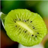 ��⨺���TV(��Ƶ�ۿ�����)