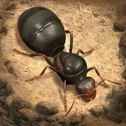 The Ants(����ģ����Ϸ)