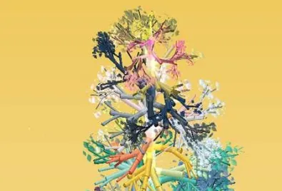 ��ת֮��2026���°汾