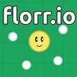 florr.io��Ϸ(���ж�ս��Ϸ)