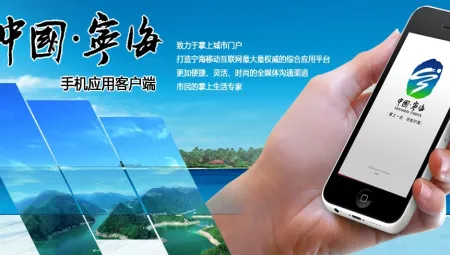 �����������ֻ���