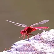 �����ѵ��Ӻ��������ֻ���