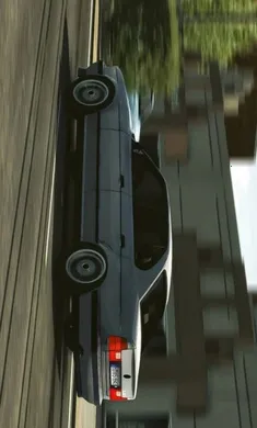 �ֶ���ͣ�������������ģ��(��������ͣ����Ϸ)v4.8.8.3 ��Ѱ��ͼ1