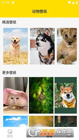 ���ӱ����2026�ٷ�����v1.5 �ٷ������ͼ4