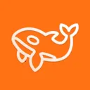 ��׼��Ѷ2026���ذ�װ