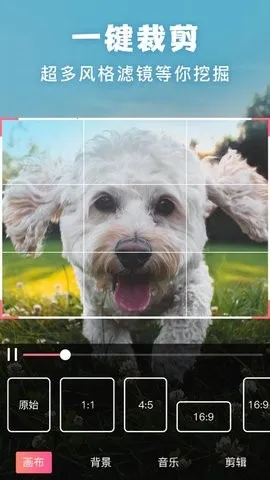 ����picsart��Ƭ�༭(��Ƭ�༭����)v19.8.63 ��׿���ͼ0