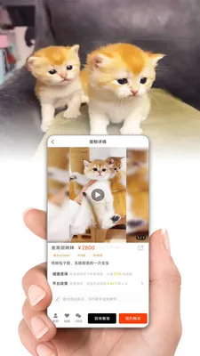 ����(���ɶ�����ֵ����)v1.6.7 ��׿���ͼ3