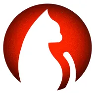 ׷��è2026�ٷ�����