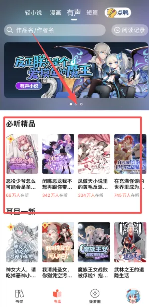 ���ܰ���С˵(��С˵�Ķ�����)