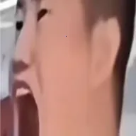 ����������2026���°汾