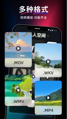 ������Ƶ��Ѳ�����(��Ƶ���Ź���)v1.0.0 �ٷ������ͼ0