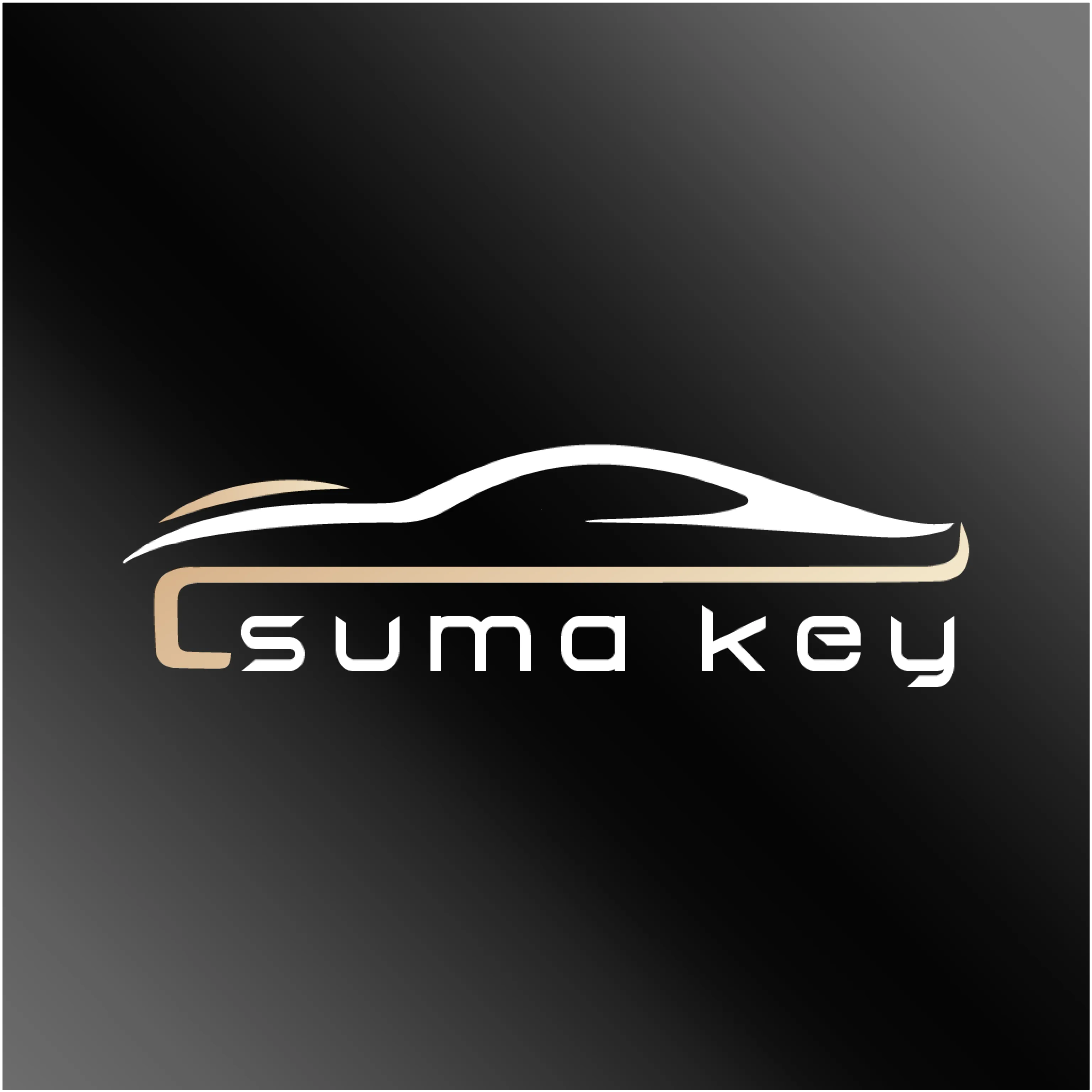 ������2026���ذ�װ