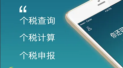 ��������˰������(��˰���㹤��)