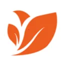 ����ѡ(��������ƽ̨)