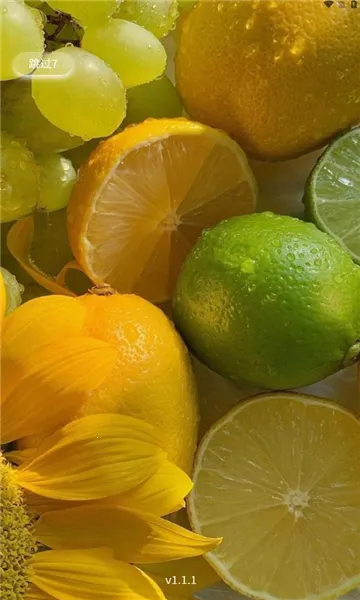 �����ջ�(�������ַ���ƽ̨)v1.1.6 �ٷ������ͼ2