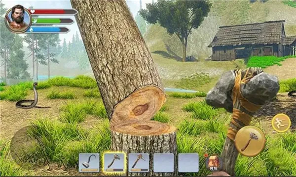 ������Ŷ�2026���°汾v1.0 ��Ѱ��ͼ0