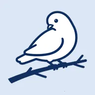 BB�ռ������Bվ(bbspace�����ֻ���