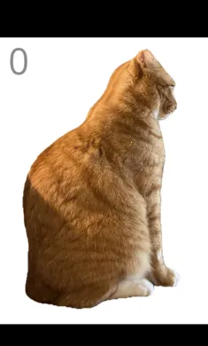 ��è��ë(è��ë������Ϸ)v1.0 ��Ѱ��ͼ4