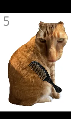 ��è��ë(è��ë������Ϸ)v1.0 ��Ѱ��ͼ1