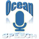 Ocean Speech(����ʶ������)