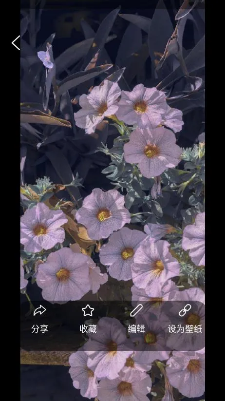 ���Ʊ�ֽ2026�ٷ�����v1.1 ��׿���ͼ3