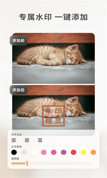 ���䰮ˮӡ����(ˮӡ��������)v1.1.5 �ٷ������ͼ1