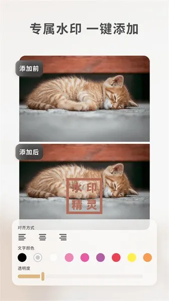 ���䰮ˮӡ����(ˮӡ��������)v1.1.5 �ٷ������ͼ4