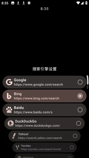 MahiroBrowser浏览器手表版2026最新版本 MahiroBrowser浏览器手表版2026最新版本
