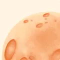 Ԫ������(�����罻����)