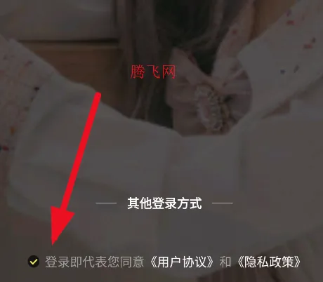 Miya(动作格斗游戏) Miya(动作格斗游戏)