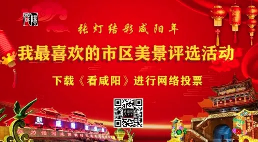 看咸阳安卓版手机版 看咸阳安卓版手机版