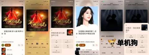 Rhythm2026官方最新版本